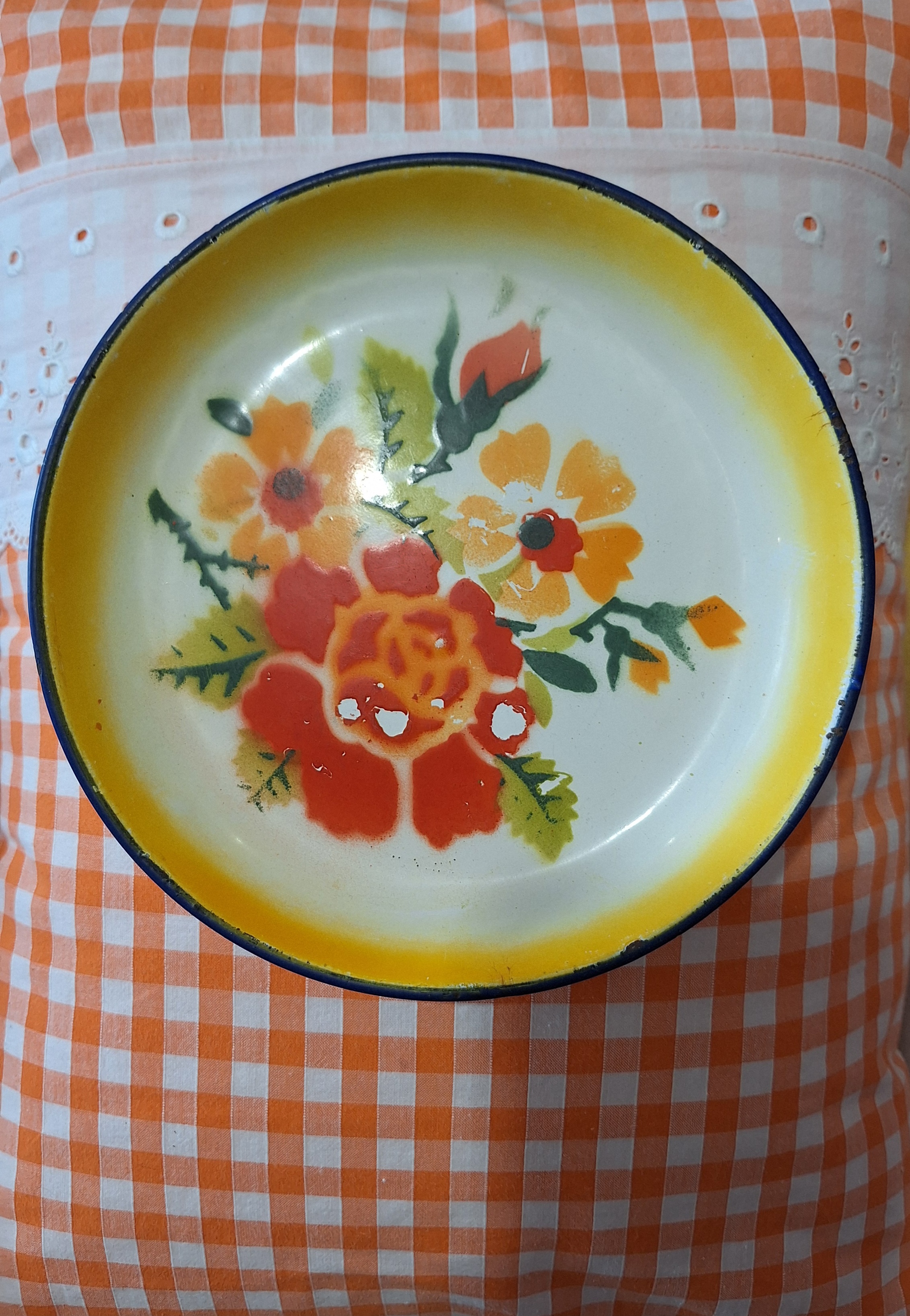 Assiette en Métal Emaillé