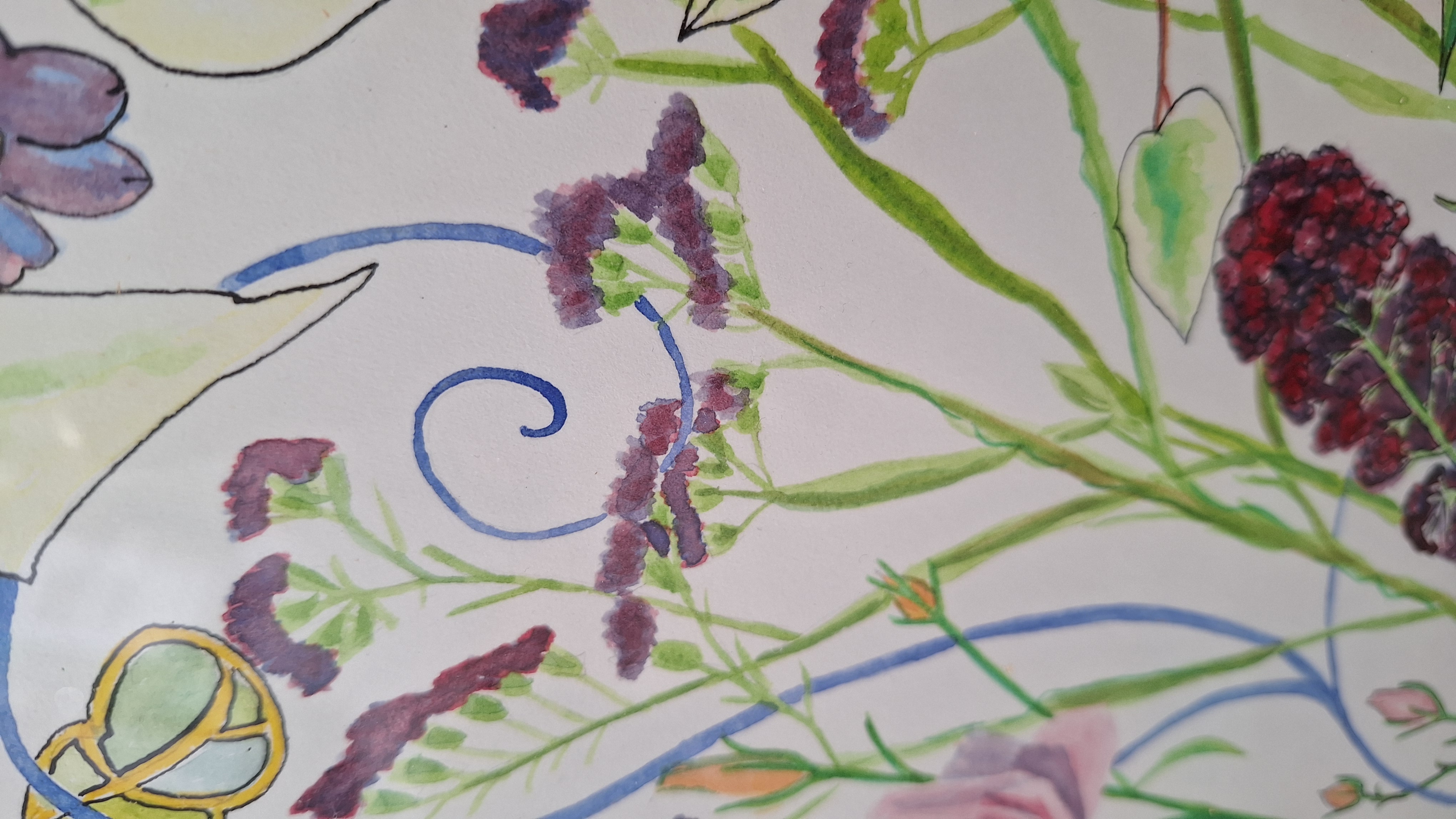 Cadre Aquarelle
