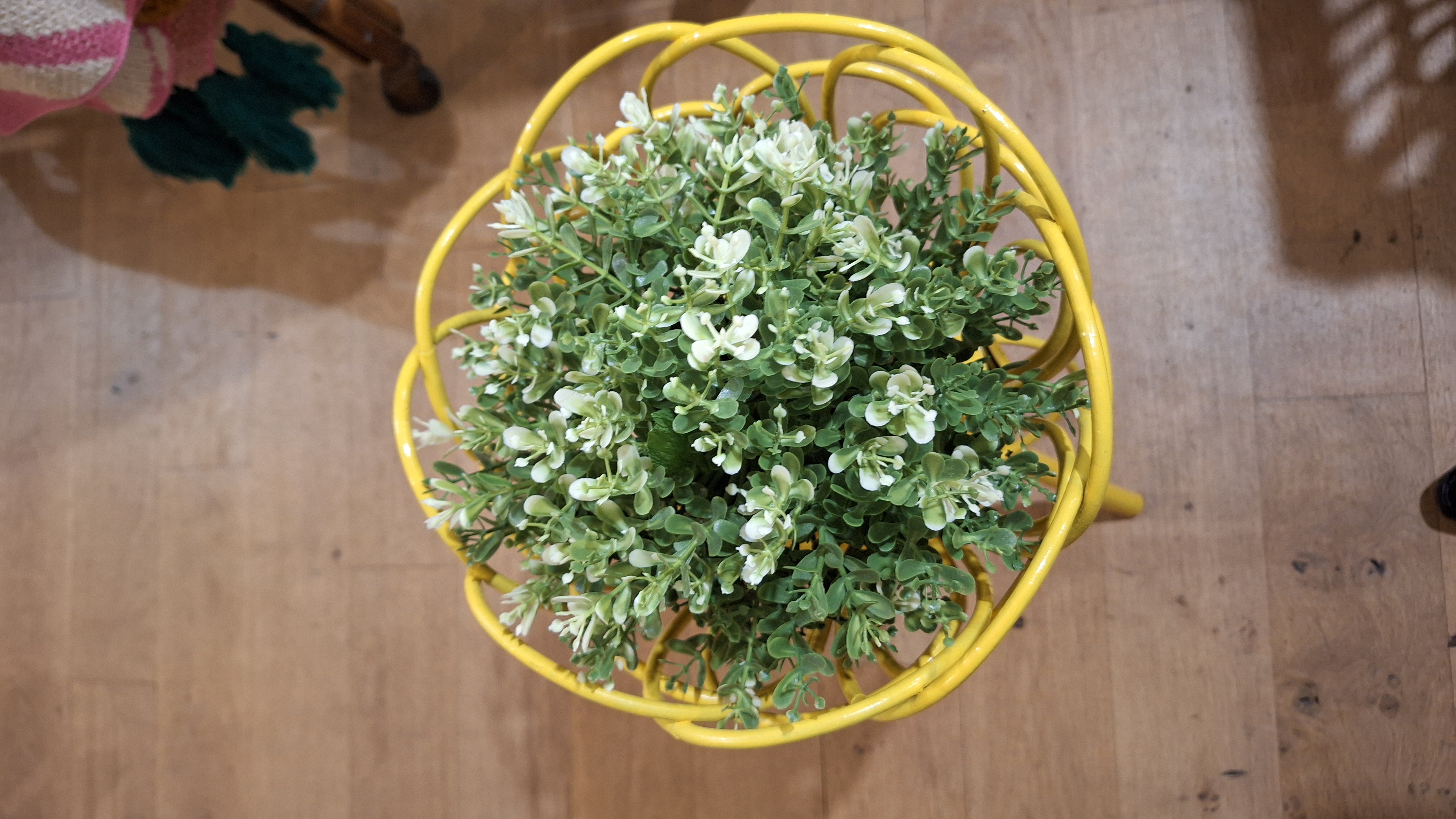 Image de la fiche produit