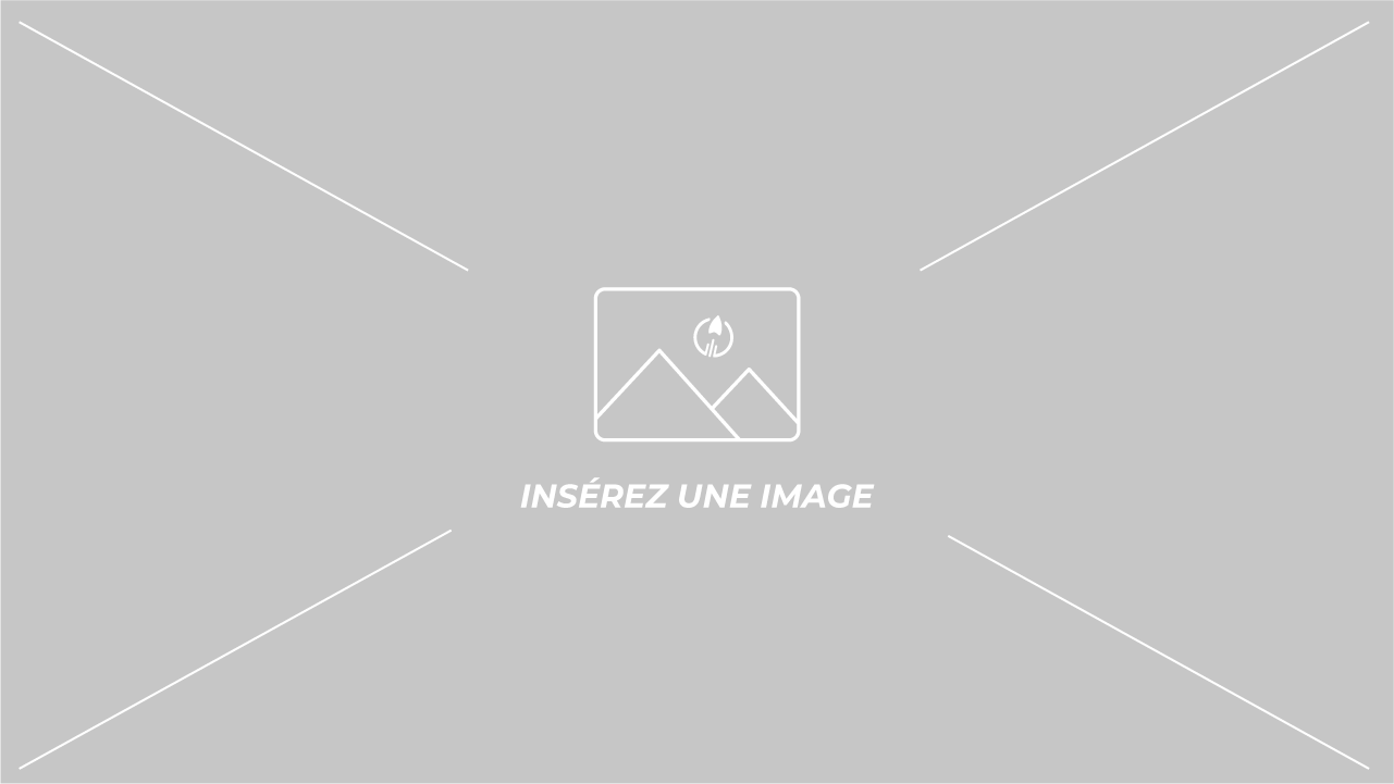 La boutique en ligne